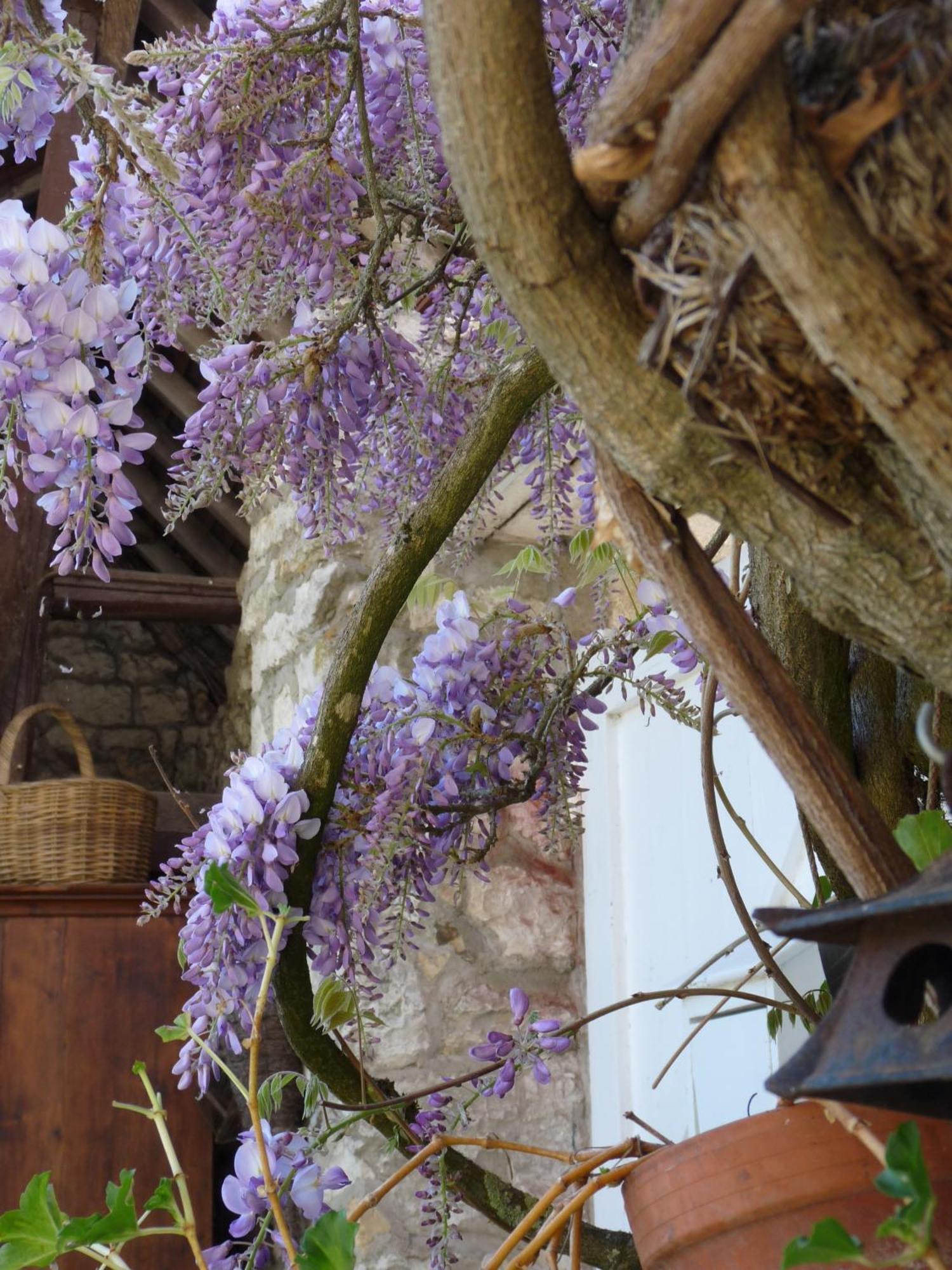 La Maison De Madame Baudy Bed & Breakfast Giverny Exterior photo